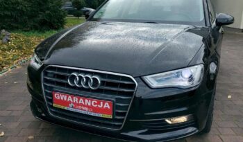 *Bardzo Ładna*Bezwypadkowa* full